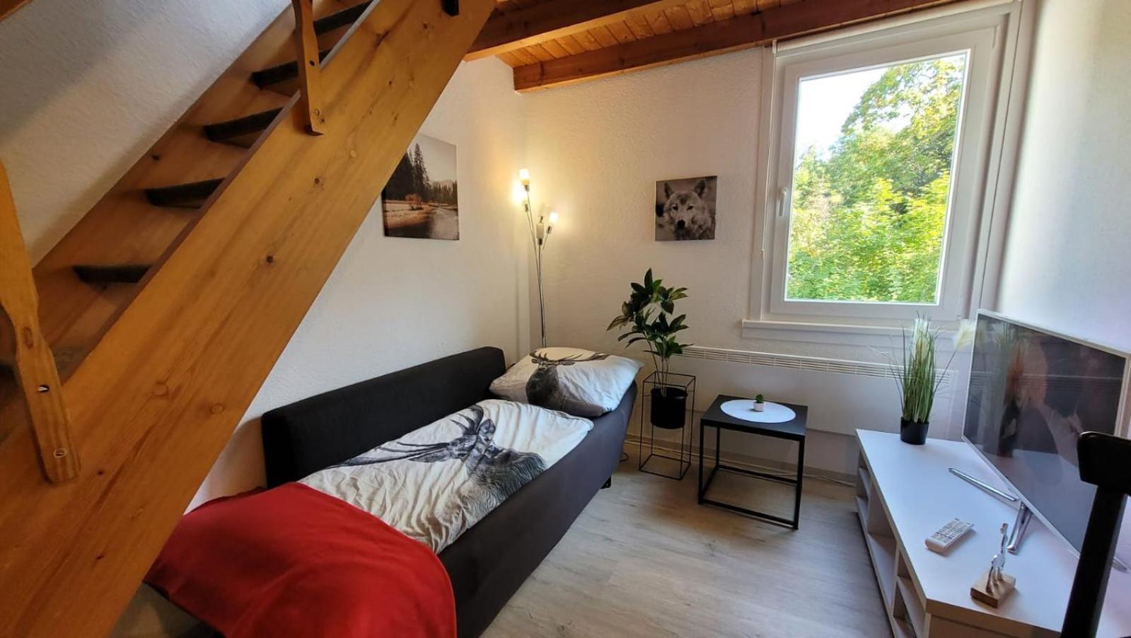 Berg-Buedchen - Schnuckelige Maisonette-Fewo - Gemuetlich Und Guenstig Sankt Andreasberg Kültér fotó